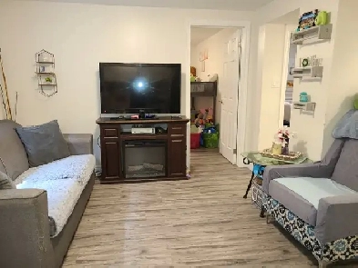 Beautiful 2-bed Bsmt Apt on Hamilton Mountain on East 15th St. Image# 6