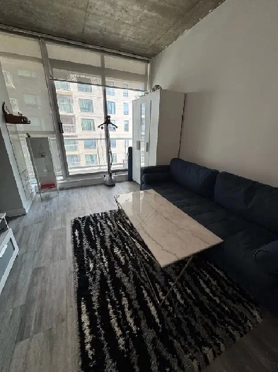 1Bed 1Bath Downtown Apartment Image# 5