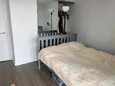 Toronto studio apartment for rent fall term. 11 Wellesley St W Image# 1