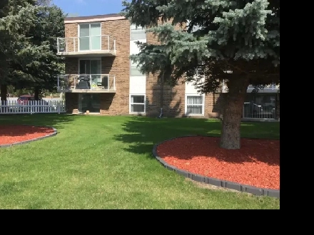 BEAUTIFUL, CLEAN, QUIET, NON-SMOKER APARTMENT SUITES Image# 5