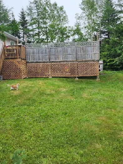 Beautiful 2 storey duplex for rent Image# 8