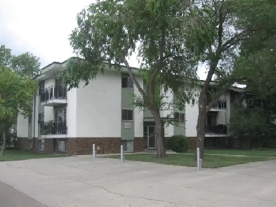 Clean, Quiet and Bright, nicely renovated 1 bedroom apartment Image# 1