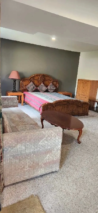 basement available for rent in waterloo Image# 5