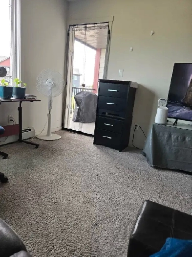 roomate needed Image# 1