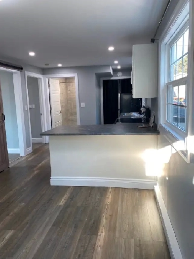 Beautiful New one and two bedroom apartment in Sydney Image# 5