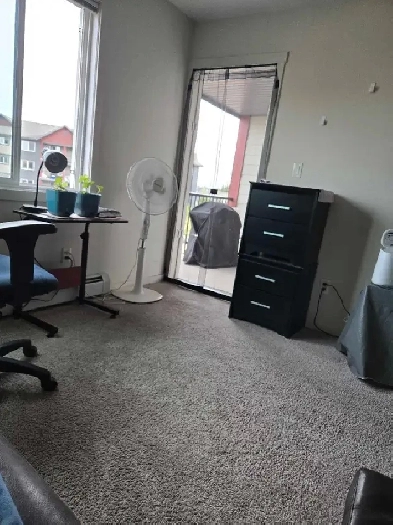 roomate needed Image# 1