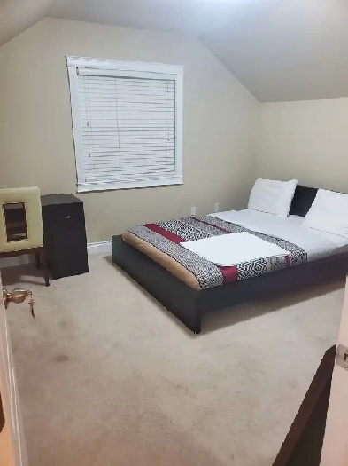 109 Ward Crescent Two Rooms for Rent Image# 3