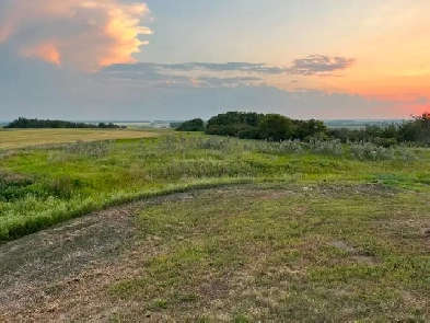 Acreage, 80 acres land, residence. Image# 4