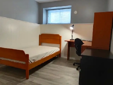 Basement room - 2min walk to Algonquin College. Image# 1