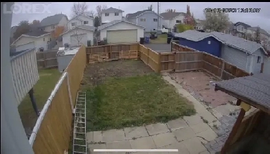 Very beautiful legal walkout semi basement suite is for rent. Image# 1