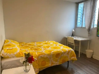 Fully Furnished Room in Apartment - Female Only -01 September 25 Image# 1