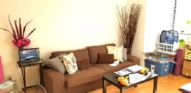 Joli 3 1/2 très lumineux et meublé. 1000$/mois (Côte-des-Neiges) Image# 1