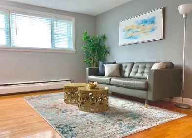 FURNISHED 2-BEDROOM APARTMENT, EVERYTHING INCLUDED, APT 1 Image# 9