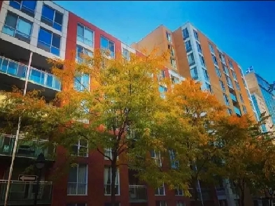 Condo downtown avec balcon sur jardin Image# 1