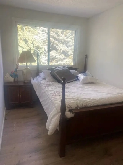 room for rent in acadia Image# 2
