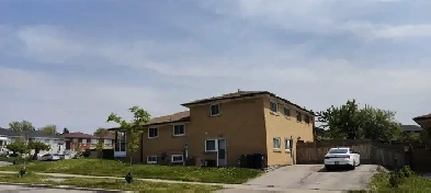 Room for rent near York University Keele Campus Image# 1