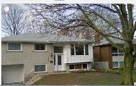 4 Licensed Bed Rooms in Waterloo - Excellent Bungalow Image# 1