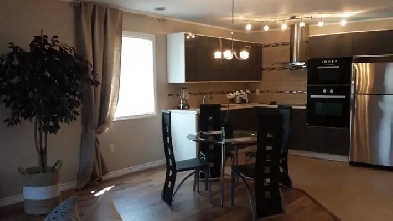 New and Stylish One or Two Bedroom Apartments. Image# 1