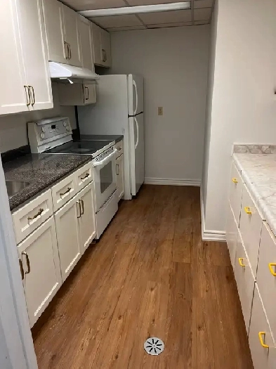 North York Detached House Lower Level one bedroom for rent Image# 1