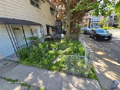 3 bdrm house for Rent Image# 1