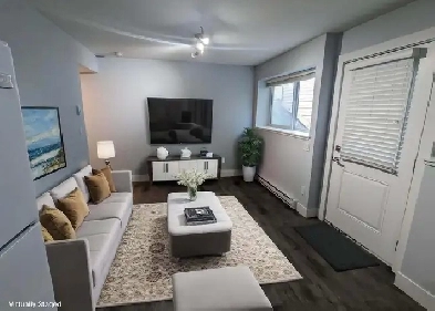 1 bedroom basement in Cloverdale/Clayton Image# 1