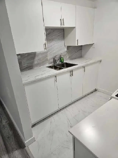 Freshly Renovated 2 Bedroom Basement, Prime Location Image# 1