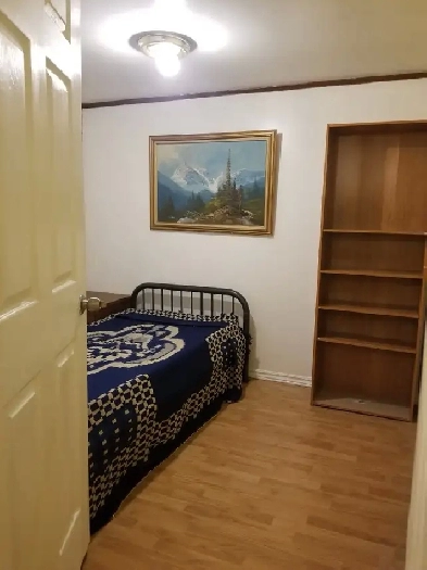 Sheppard and Warden: Room for Rent Image# 1