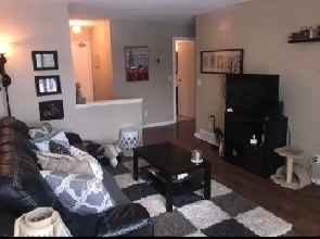 Cozy 1-Bedroom Condo with Park View in Dunluce - Pet Friendly Image# 1