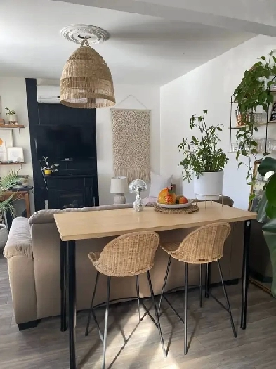 A louer, Vieux-Longueuil, bel appartement 1 chambre à coucher Image# 10