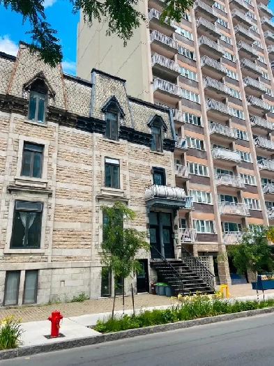 Bright and spacious 2-bedroom apt, 8-minute walk from Concordia Image# 4