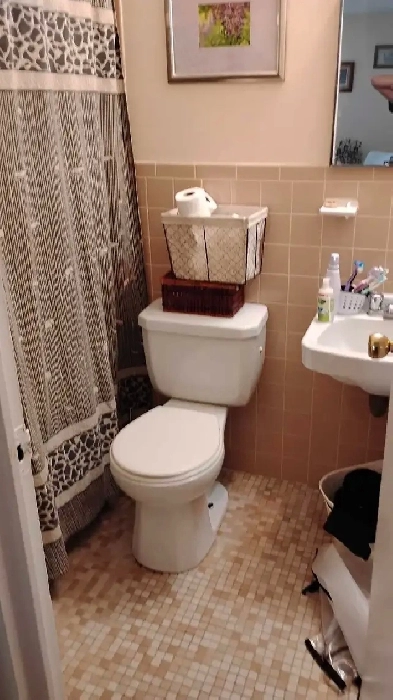 Room mate wanted Image# 1