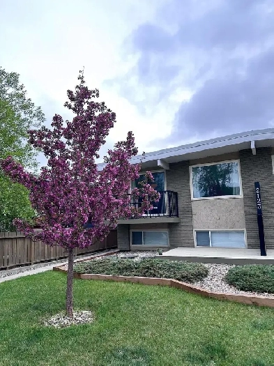 GORGEOUS WEST HILLHURST UNIT FOR RENT Image# 4