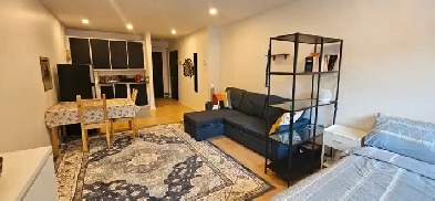 Furnished Studio all Inclusive, near Metro Joliette -  1 Sept Image# 1