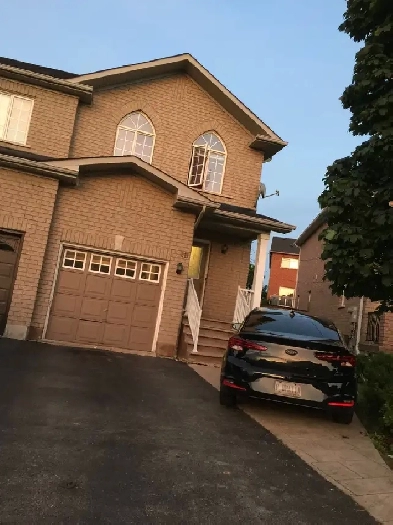Basement for rent in Mississauga Image# 1