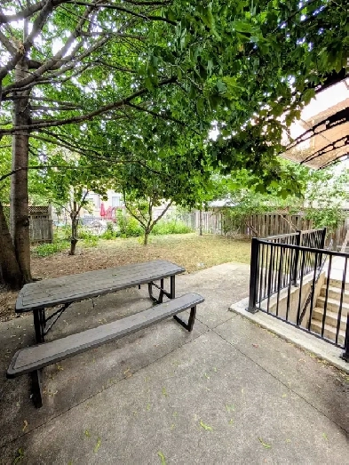 FOR RENT: Spacious New Legal Basement, 1 Parking, Separate Entry Image# 2