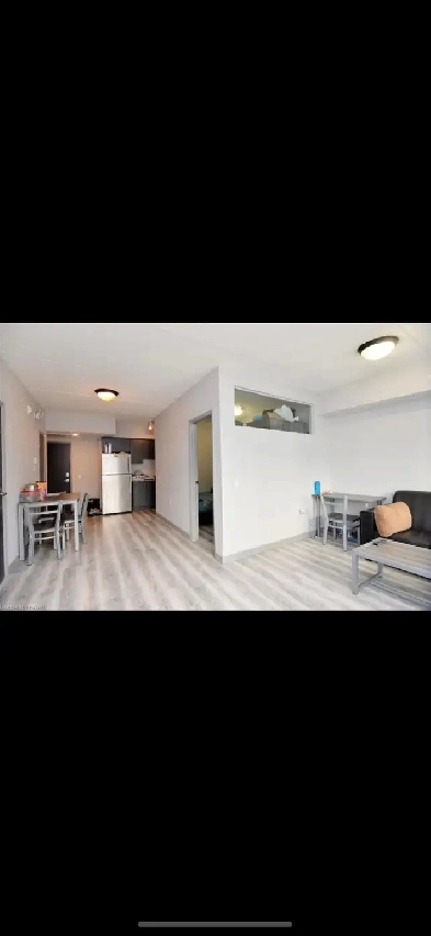 Lovely one bed room apartment for rent in Waterloo Image# 1