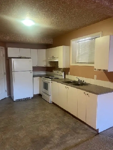 2 bedroom basement available for rent in taradale ne Image# 9