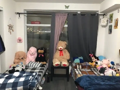 PRIVATE ROOM FOR RENT NEAR SHERIDAN COLLEGE AND GATEWAY TERMINA. Image# 3