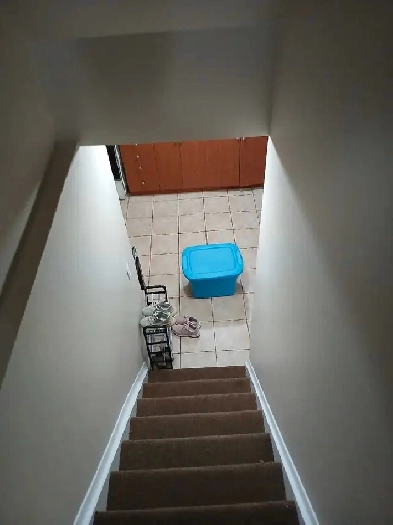 Basement for rent Image# 3