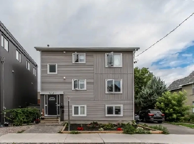 Apartment for rent Image# 10