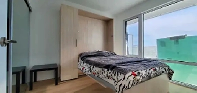 September 1,one room in downtown Toronto for rent Image# 6