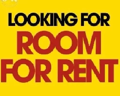 I’m looking private room for rent from 1st Sep Image# 1