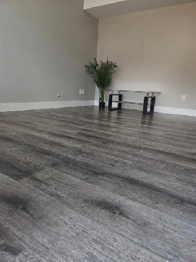 2 bedroom basement suite for rent. Image# 1