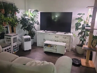 Room for rent near Mcmaster, Locke, & Downtown Hamilton Image# 3