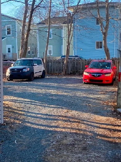 One bedroom apartment located in central Halifax $1450 Image# 5