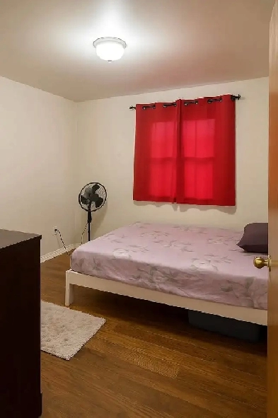 3-BDR MAIN Floor | 5 min walk to STC | Sept 1 | Students Image# 2