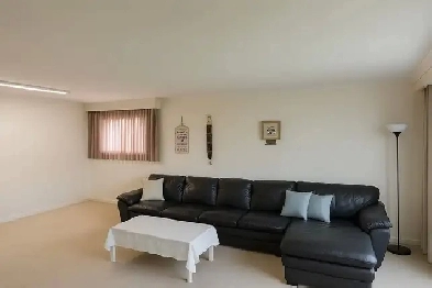 3-BDR MAIN Floor | 5 min walk to STC | Sept 1 | Students Image# 4