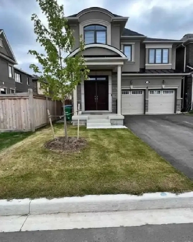 private room for rent Image# 1