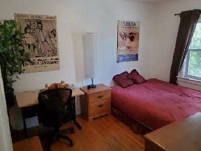 Lawrence and Yonge ( shared accom) Image# 1