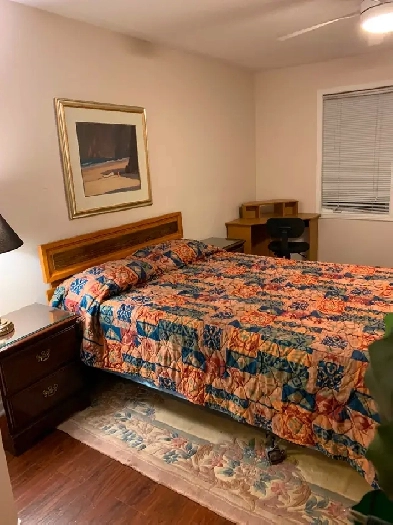 Spacious furnished room with fireplace and private bathroom Image# 4